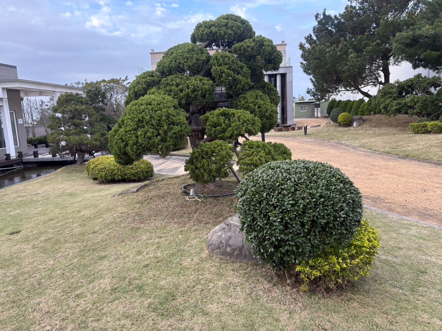 S__41148506_0.jpg