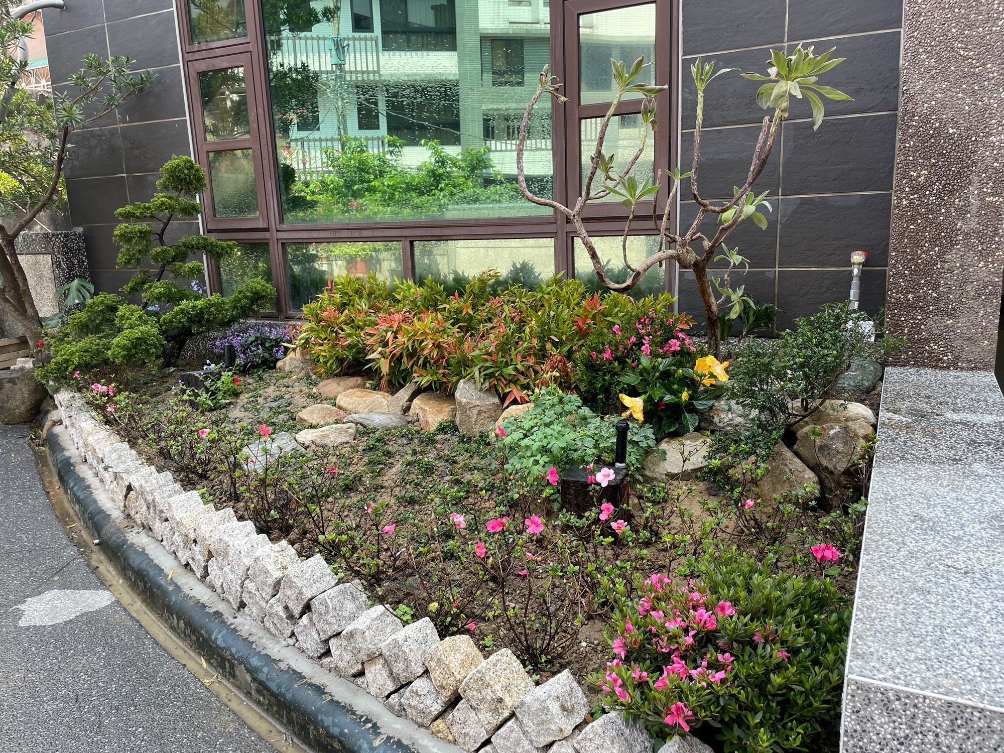S__41148511_0.jpg
